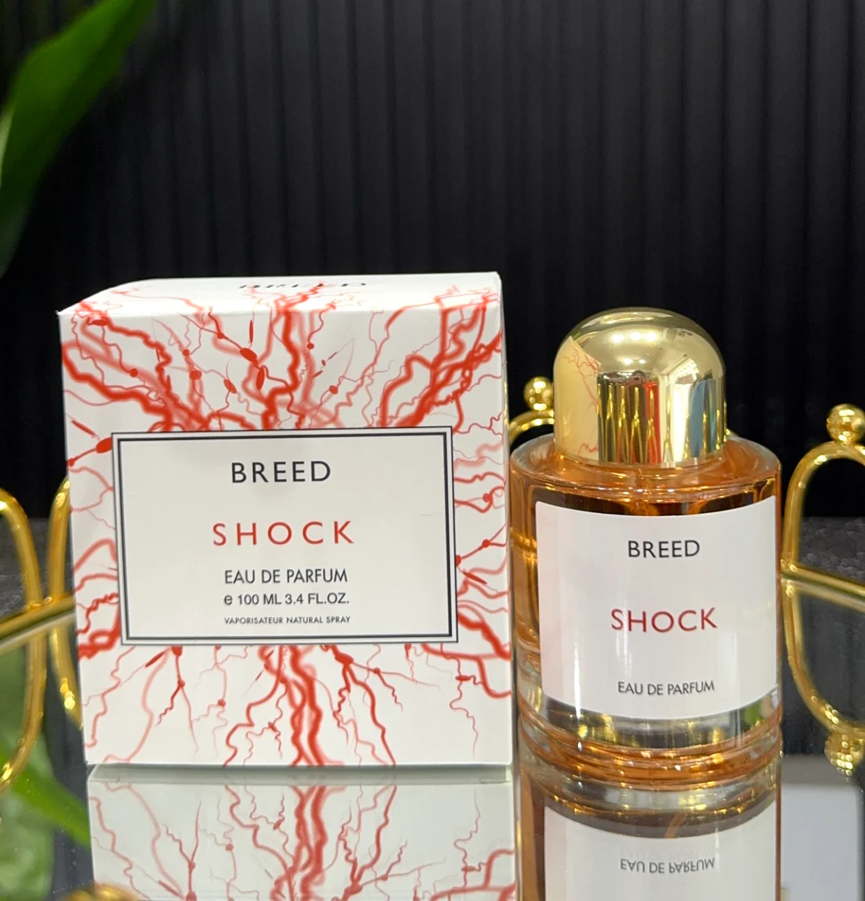 Shock by Breed
